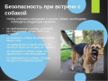 BTYSZpCYrBR3pYcN6GIXHSPitDroVjIqg23u8A2QQ8pZJzRsU_nuJQ7i2zDOAToPJDIoHcstk1V-bzeW4eMdPER7