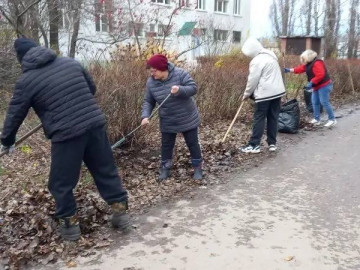 Экологическая акция “Чистый двор”